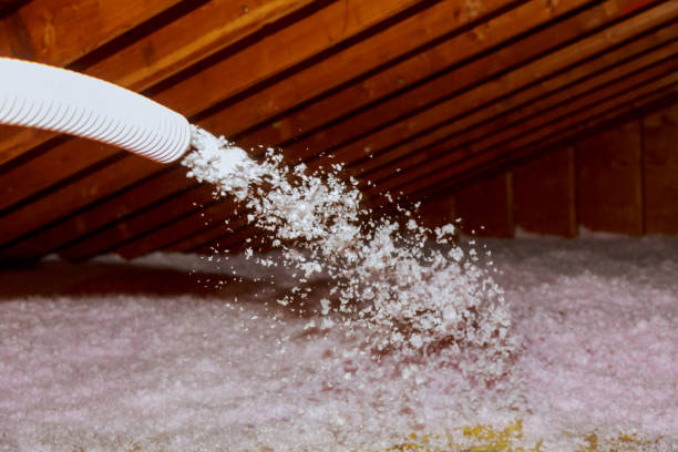 Best Spray Foam Insulation in Oral City, FL