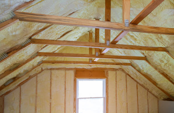 Best Insulation Maintenance and Repair in Oral City, FL