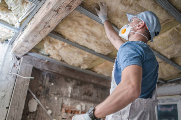Best Energy Efficiency Insulation in Oral City, FL
